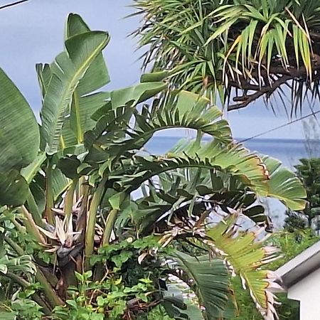 L'Etoile Du Piton Villa Saint-Joseph Eksteriør billede