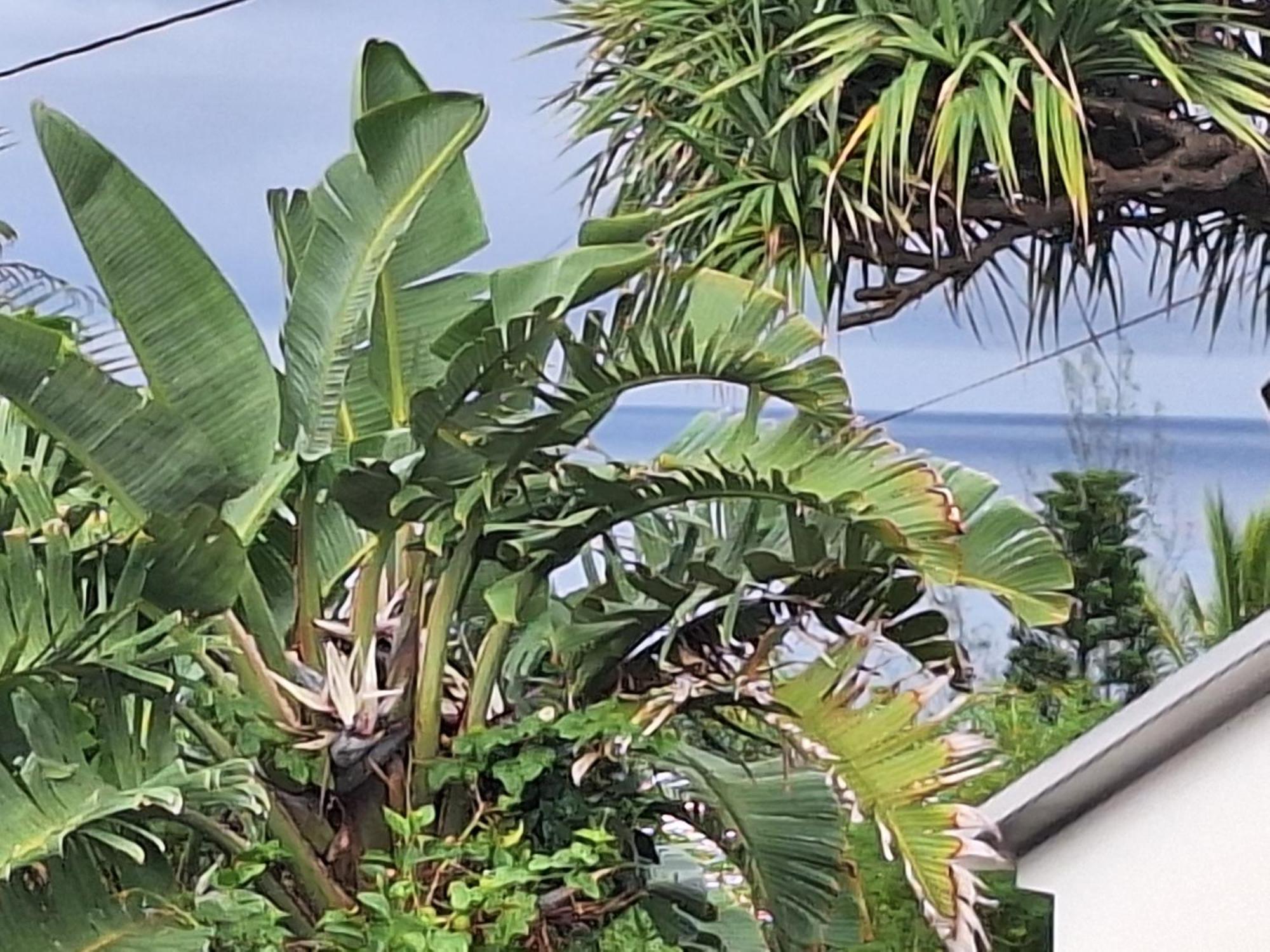L'Etoile Du Piton Villa Saint-Joseph Eksteriør billede